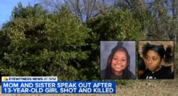 'Blood all on my hands': Teen cradles dying 13-year-old sister 'in her last moments' after boys jumped out of bushes and shot her as they were walking home, cops say