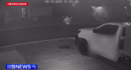 Bloodied man screams for help after alleged stabbing in Logan