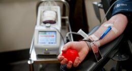 There are several eligibility criteria that must be met before you donate blood, exp[erts warn after the Bondi Beach shooting.