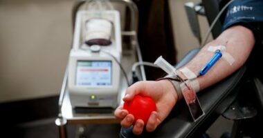 There are several eligibility criteria that must be met before you donate blood, exp[erts warn after the Bondi Beach shooting.
