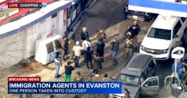 Border Patrol Chicago, today: Little Village business concerned amid immigration arrests, Greg Bovino returns to area, Evanston