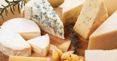 Brie-lliant news! Eating high fat cheese lowers dementia risk, study suggests