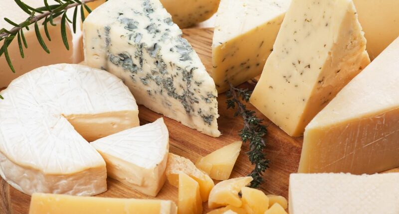 Brie-lliant news! Eating high fat cheese lowers dementia risk, study suggests