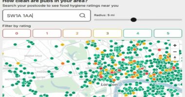 Britain's filthiest pubs named and shamed: One in 40 boozers fail hygiene ratings... so is YOURS one of them?