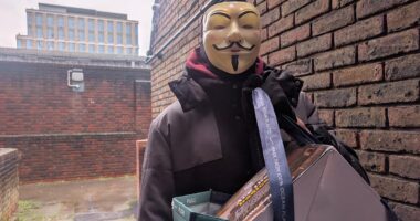 Britain's £650million-a-year parcel theft epidemic revealed