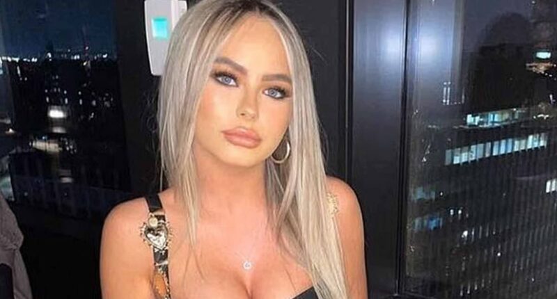 British law student jailed in Dubai is freed in time for Christmas