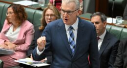 British national faces deportation after disturbing discovery