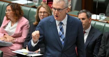 British national faces deportation after disturbing discovery