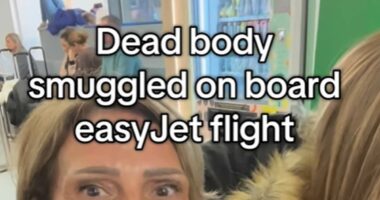 Brits accused of bringing DEAD gran onto flight to Gatwick