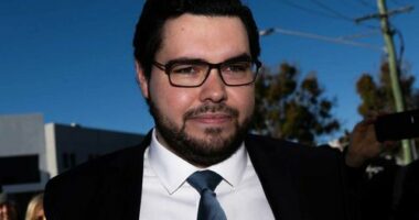 Car theft charges against Bruce Lehrmann have been downgraded.