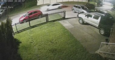 CCTV released as police search for person who fired 30 shots into Sydney home