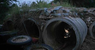 Cambodia vows fierce fight against Thailand in escalating border conflict