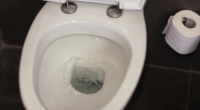Central Florida man sues Outback Steakhouse, says toilet shattered beneath him