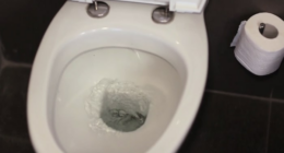 Central Florida man sues Outback Steakhouse, says toilet shattered beneath him