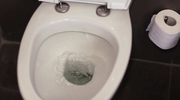 Central Florida man sues Outback Steakhouse, says toilet shattered beneath him