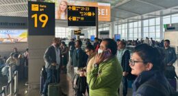 Chaos erupts at Indian airports as country's largest airline cancels flights