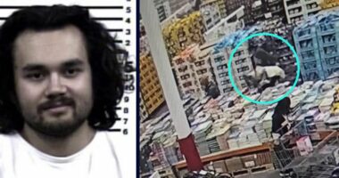 Charges dropped for Costco shopper who took cart with baby