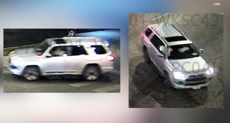 Chicago crime: $1,000 reward offered after Jermaine Martin killed in Gage Park hit-and-run on South Kedzie Avenue, officials say