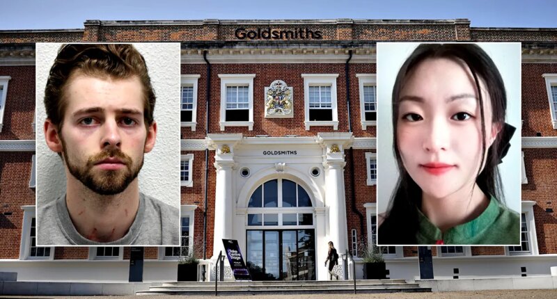 Chicago man accused of stabbing, choking UK woman then calling dad for lawyer found guilty of murder