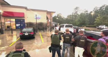 Child Sex Predators: Inside an undercover Florida sting operation targeting online predators