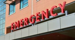 Child killed, 13 critically injured after motorhome carrying 15 overturns on Highway 27 in Marion County