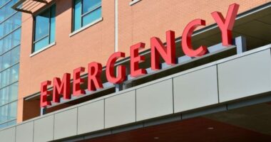 Child killed, 13 critically injured after motorhome carrying 15 overturns on Highway 27 in Marion County