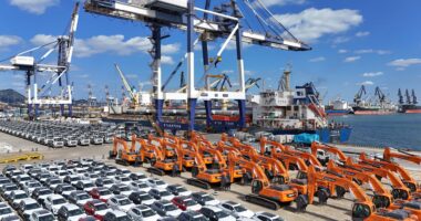 China's factory activity unexpectedly contracts in November