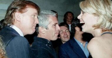 Donald Trump and Jeffrey Epstein together.