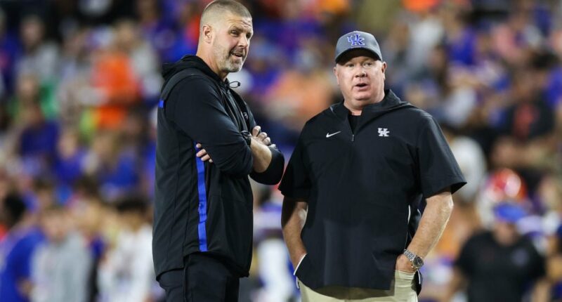 Celebrity Net Worth logo