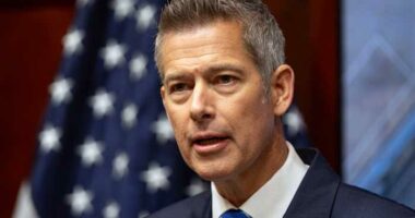 Colorado faces $24M federal funding cut over illegal commercial driver's licenses