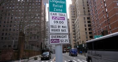 Congestion pricing = accessible transit