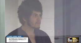 'Couldn't take it anymore': Man said he 'had enough' after bludgeoning his parents to death in the family living room, police say