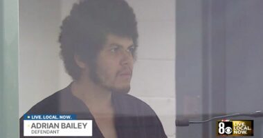 'Couldn't take it anymore': Man said he 'had enough' after bludgeoning his parents to death in the family living room, police say