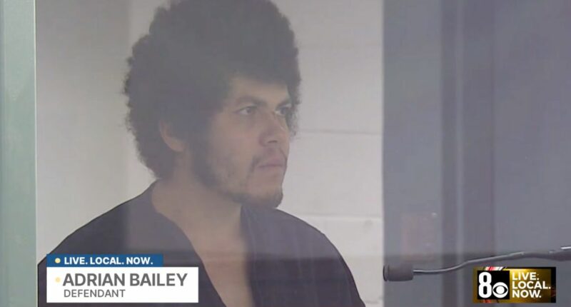 'Couldn't take it anymore': Man said he 'had enough' after bludgeoning his parents to death in the family living room, police say