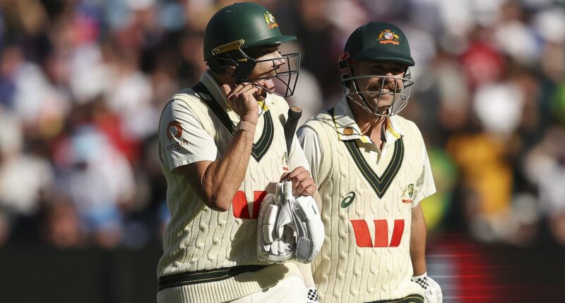 Cricket legends praise Aussie hero for his unusual Boxing Day Test cameo: 'He owns the MCG'