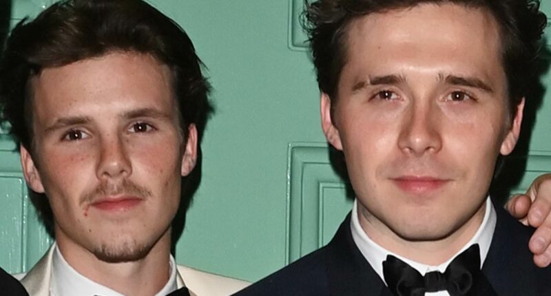 Cruz Beckham offers ANOTHER olive branch to estranged brother Brooklyn