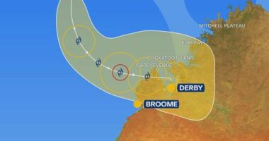 Tropical Cyclone Hayley could intensify into a category two storm as early as this afternoon.