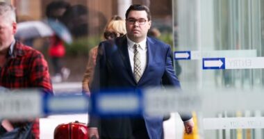 D-Day for Lehrmann after another return to lion's den