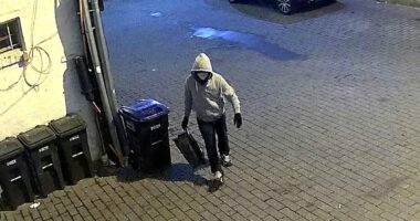 DC pipe bomb suspect confessed to planting  explosives