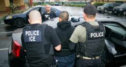 DHS launches 'Worst of the Worst' webpage targeting alleged criminal illegal immigrants nationwide
