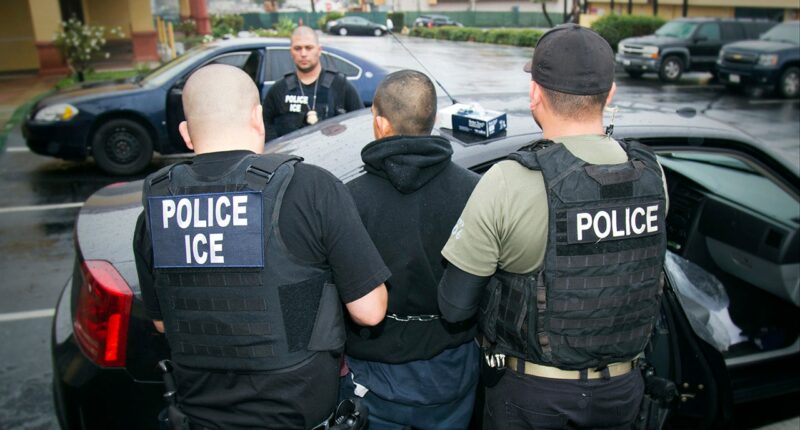 DHS launches 'Worst of the Worst' webpage targeting alleged criminal illegal immigrants nationwide
