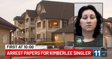 DNA found on bloody gun used to kill 2 children belonged to mom who fled the country after murders: Authorities