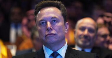 DOGE Was ‘Somewhat Successful,’ But Wouldn’t Do It Again, Musk Says