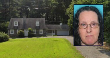 Dad returning from overnight shift with McDonald's breakfast for family finds daughter stabbed to death by wife, police say