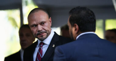 Dan Bongino to Step Down as FBI Deputy Director in January