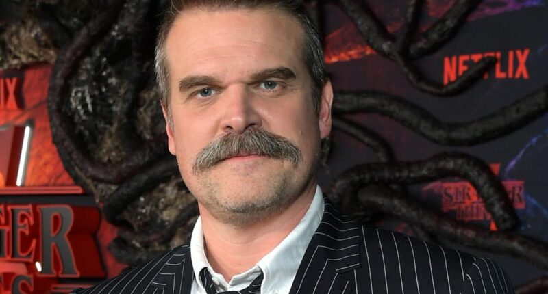 David Harbour nabs stranger’s hat in bizarre incident at California bar