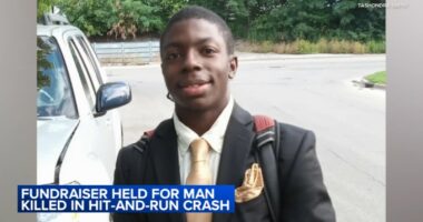 De'Avion Smith, bicyclist killed in Elwood, IL hit-and-run crash near Route 53 and Tehle Road, remembered as beacon of positivity