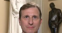 Dem Rep. Goldman: Biden FBI Didn't Mess Up by Not Getting Pipe Bomb Suspect That 'Dreadful' Trump FBI Did