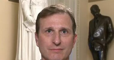 Dem Rep. Goldman: Biden FBI Didn't Mess Up by Not Getting Pipe Bomb Suspect That 'Dreadful' Trump FBI Did