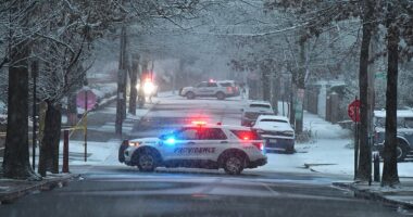 Democratic senator blames Trump for Brown University shooting